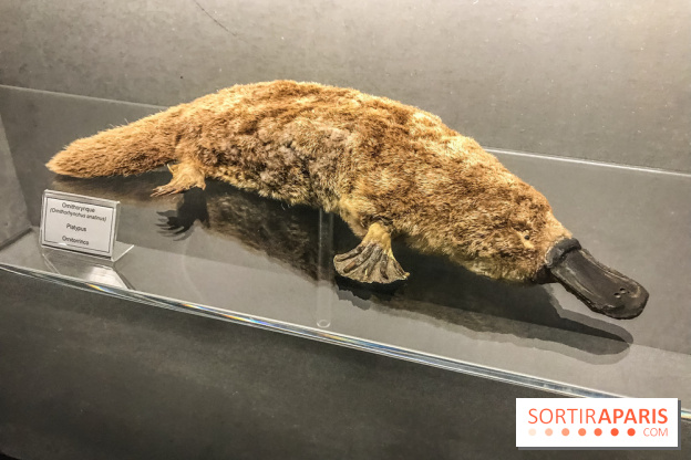 Poison au Palais de la Découverte, les photos 