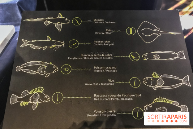 Poison au Palais de la Découverte, les photos 