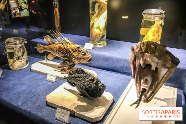 Poison au Palais de la Découverte, les photos 