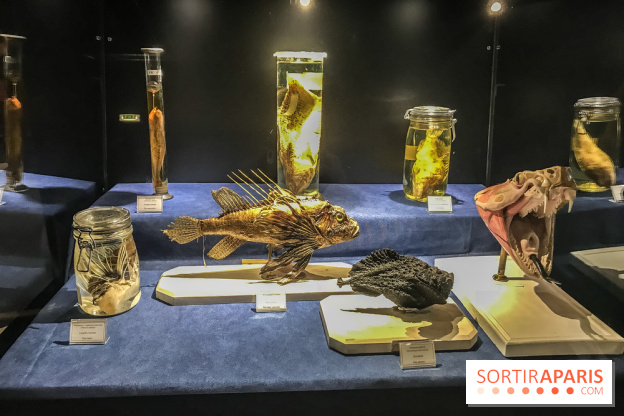 Poison au Palais de la Découverte, les photos 