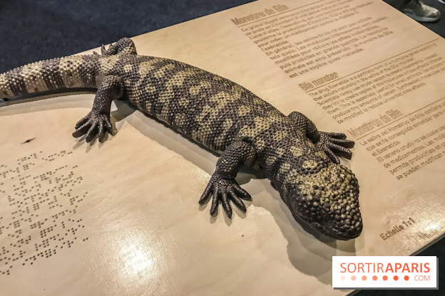 Poison au Palais de la Découverte, les photos 