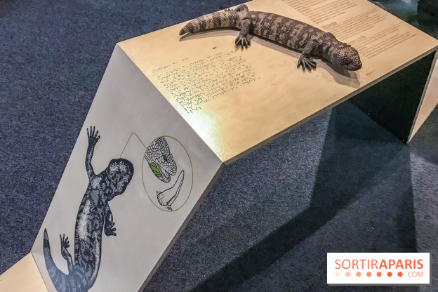 Poison au Palais de la Découverte, les photos 