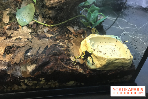 Poison au Palais de la Découverte, les photos 