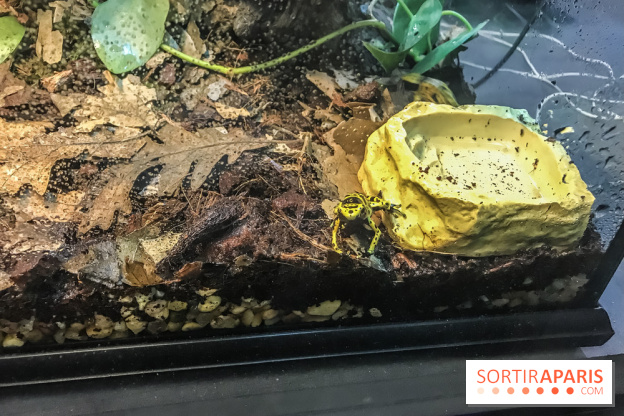 Poison au Palais de la Découverte, les photos 