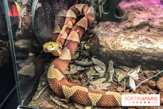 Poison au Palais de la Découverte, les photos 