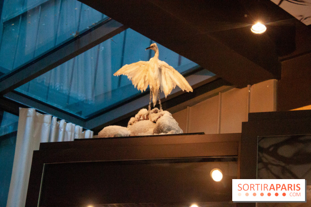 Reality Check au Cinq Codet