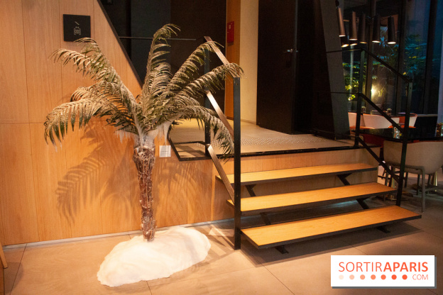 Reality Check au Cinq Codet