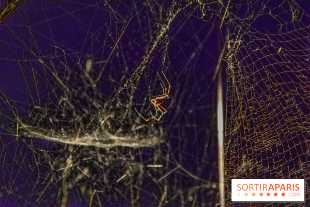 Carte Blanche à Tomas Saraceno au Palais de Tokyo