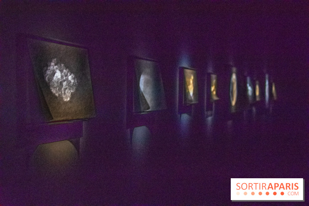 Carte Blanche à Tomas Saraceno au Palais de Tokyo