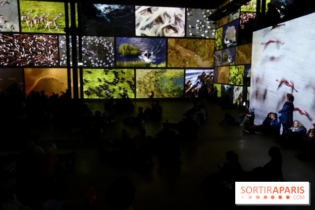 Terra Magnifica à L'Atelier des Lumières