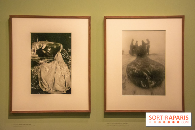 Expo Martine Franck à la Fondation Cartier-Bresson