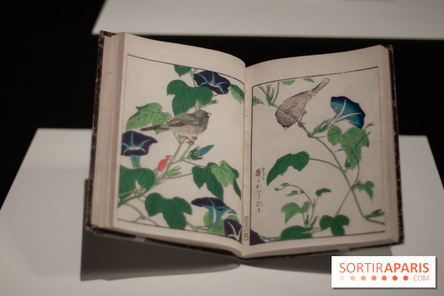 Japon-Japonismes au Musée des Arts Décoratifs