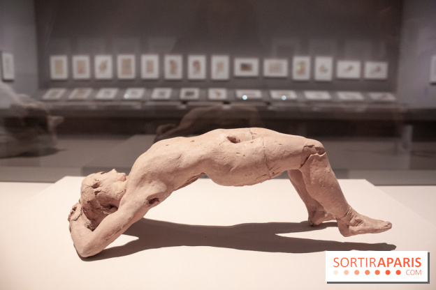 Rodin, dessiner, découper au musée Rodin