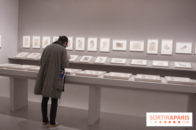 Rodin, dessiner, découper au musée Rodin