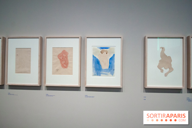 Rodin, dessiner, découper au musée Rodin