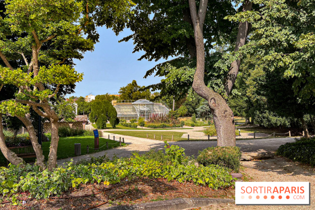 Color Run 2025 : course solidaire Conflans