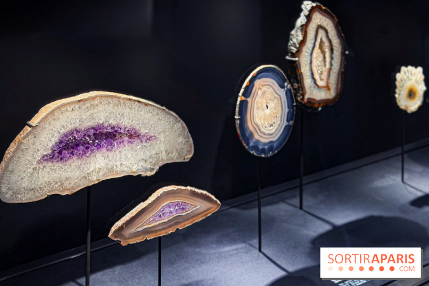 Rêveries de pierres : l'exposition rétrospective gratuite à l'Ecole des Arts Joailliers