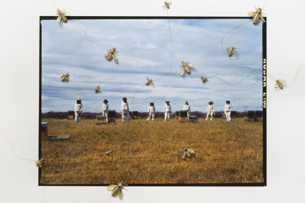Guerlain x UNESCO, "Piquées" une exposition photo engagée et inspirante