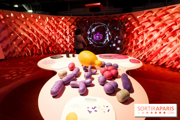Microbiote, l'exposition à la Cité des Sciences 