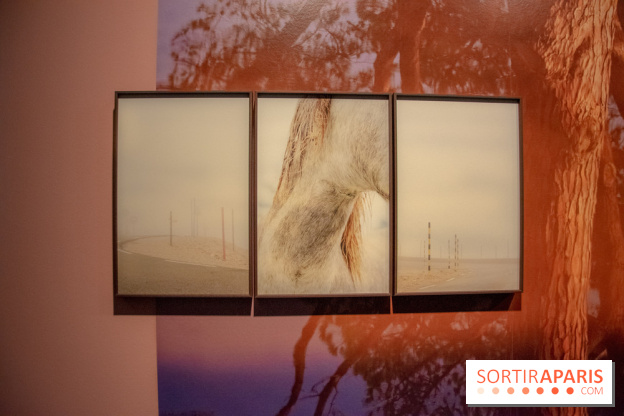 Hit The Road, l'exposition au Leica Store