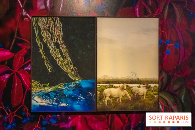 Hit The Road, l'exposition au Leica Store