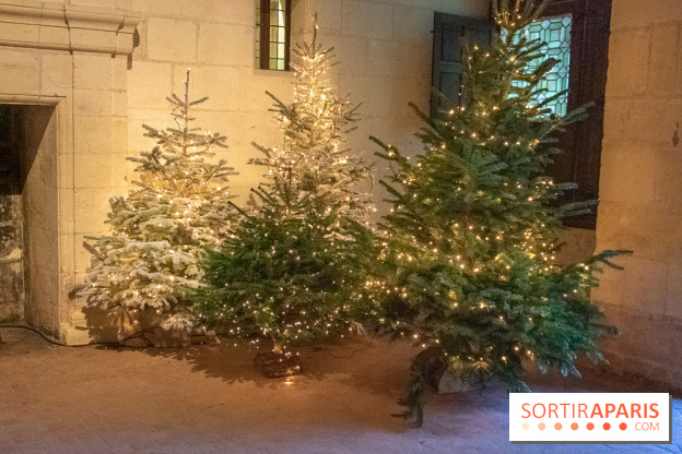 Noël 2018 au Château de Chambord