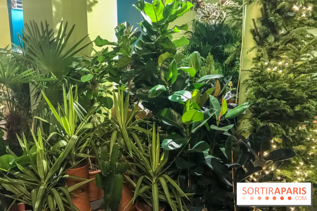 Bergamotte, le lieu de vie dédié au végétal