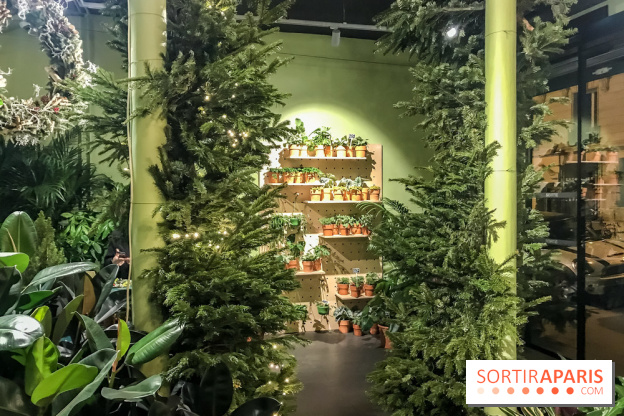 Bergamotte, le lieu de vie dédié au végétal