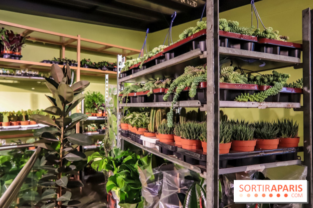 Bergamotte, le lieu de vie dédié au végétal