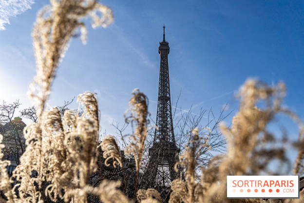 visuel Paris visuel  -  A7C2038