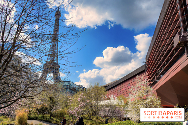 Visuel Paris, tour eiffel - Musée du Quai Branly