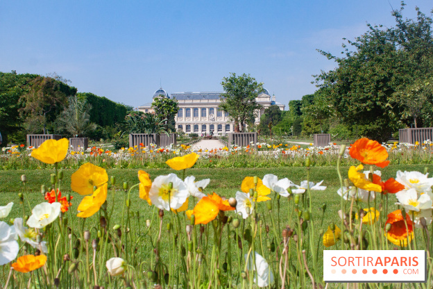 Visuel jardin des plantes Paris