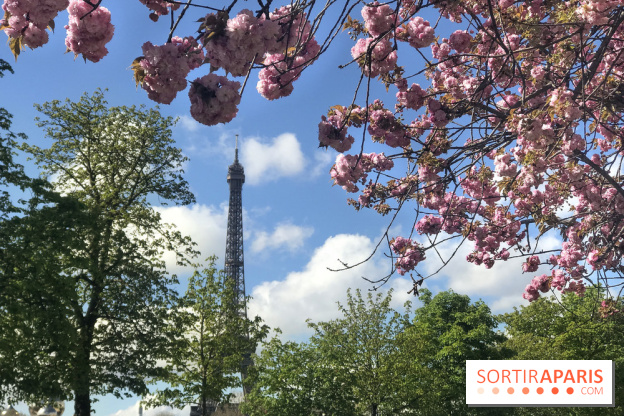 Visuel Paris, Tour Eiffel printemps