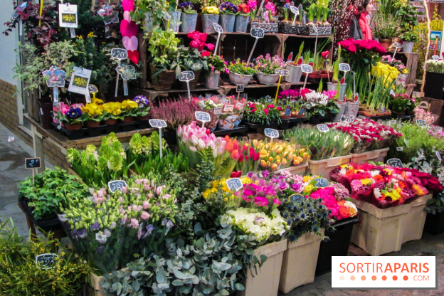Visuel Paris marché d'Aligre fleurs