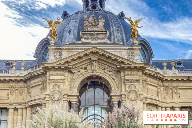 Visuel Paris Petit Palais