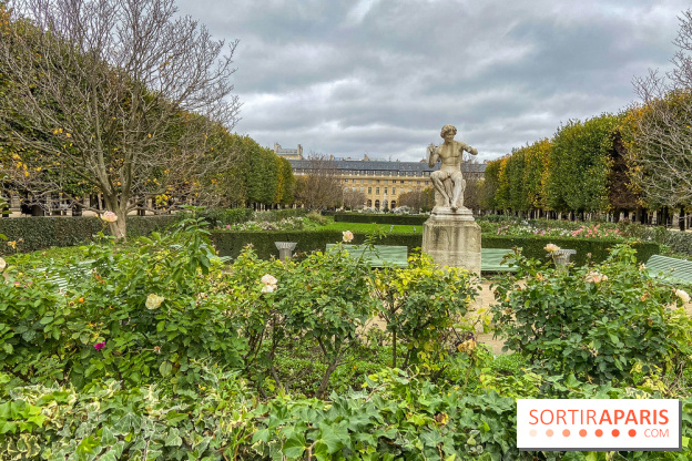 Visuel Paris vide confinement Palais Royal