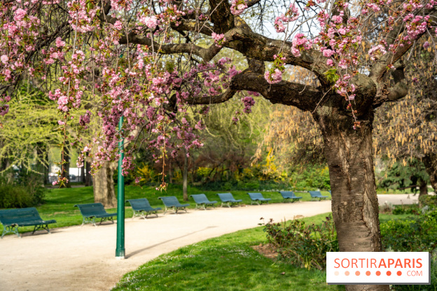 Visuel Paris arbres en fleurs, jardins, parc