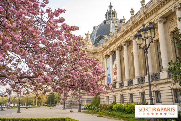 Visuel Paris arbres en fleurs, jardins, parc Petit Palais