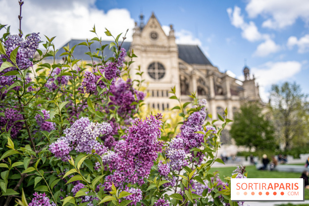 Visuel Paris Jardin Nelson Mandela Eglise Saint Eustache