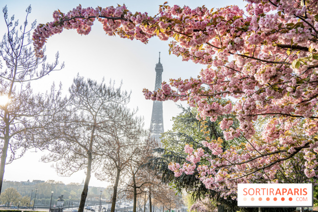 Visuel Paris Tour Eiffel cerisiers en fleurs