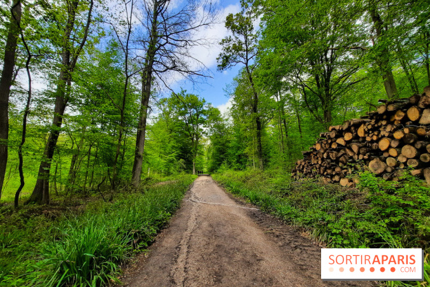 Visuel Paris balade forêt île de france