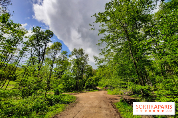 Visuel Paris balade forêt île de france