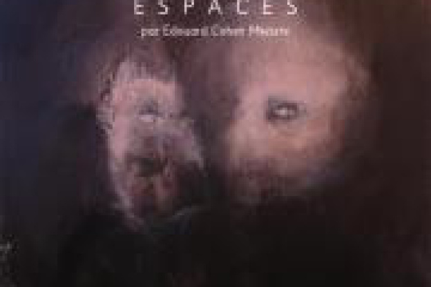 Vernissage d'Edouard Cohen Mezieres