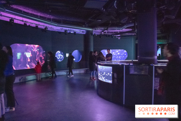 L'Aquarium de Paris ouvre son Médusarium