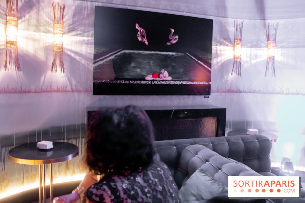 Plaisirs Évanouis, l'exposition au Nolinski