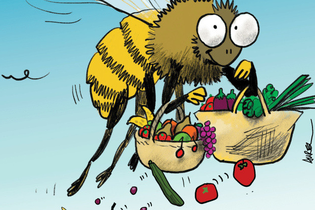 APIdays 2019 - La fête des abeilles a 10 ans