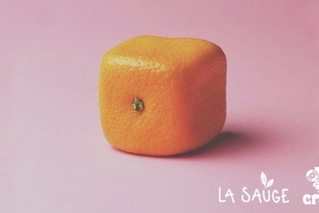 Cracki et La Sauge : Open Air #6 à la Prairie du Canal 