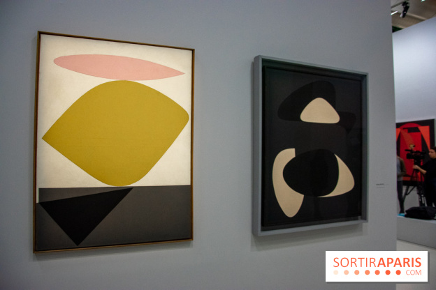 Exposition Vasarely Centre Pompidou, nos photos