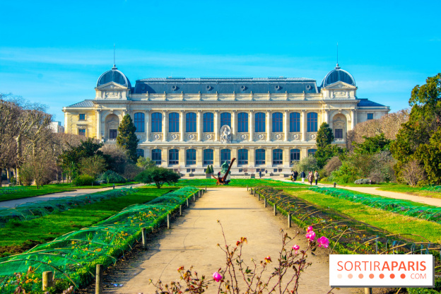 Mille et une Orchidées 2019 au Jardin des Plantes, les photos