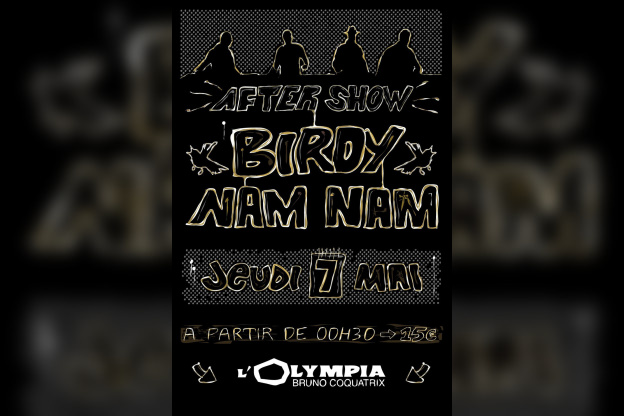 Soirée, Paris,Toxic, After Show, Birdy Nam Nam, BNN